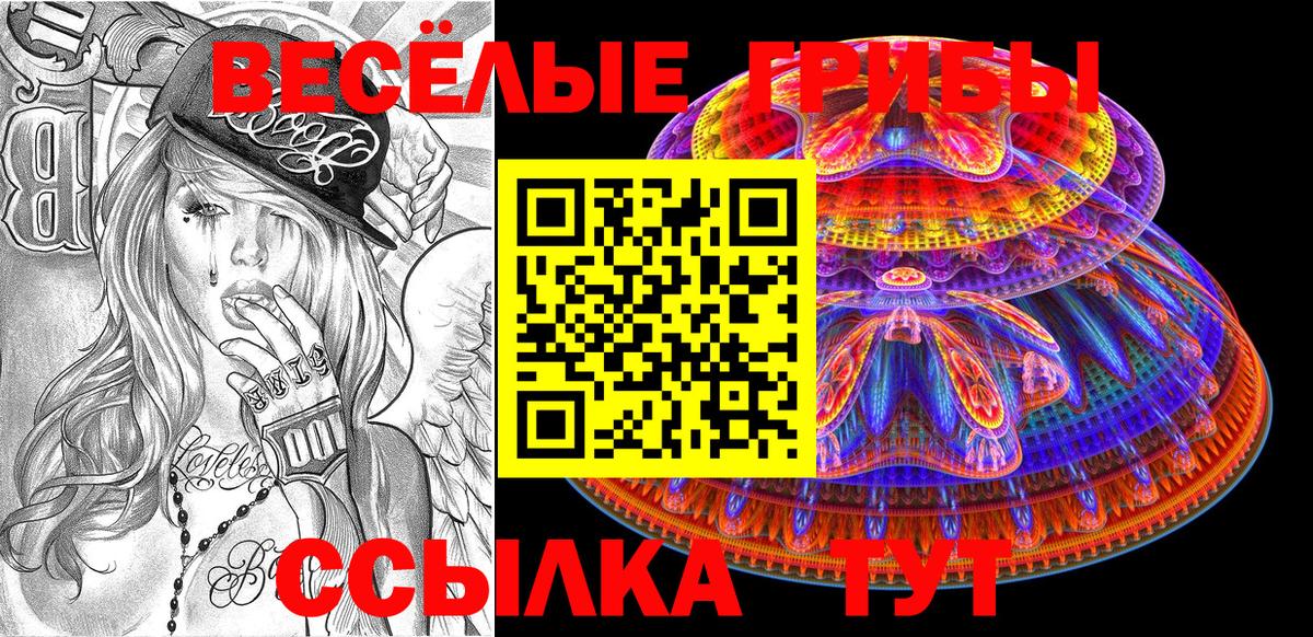 Серов  Галлюциногенные грибы Cubensis  Вход с VPN 